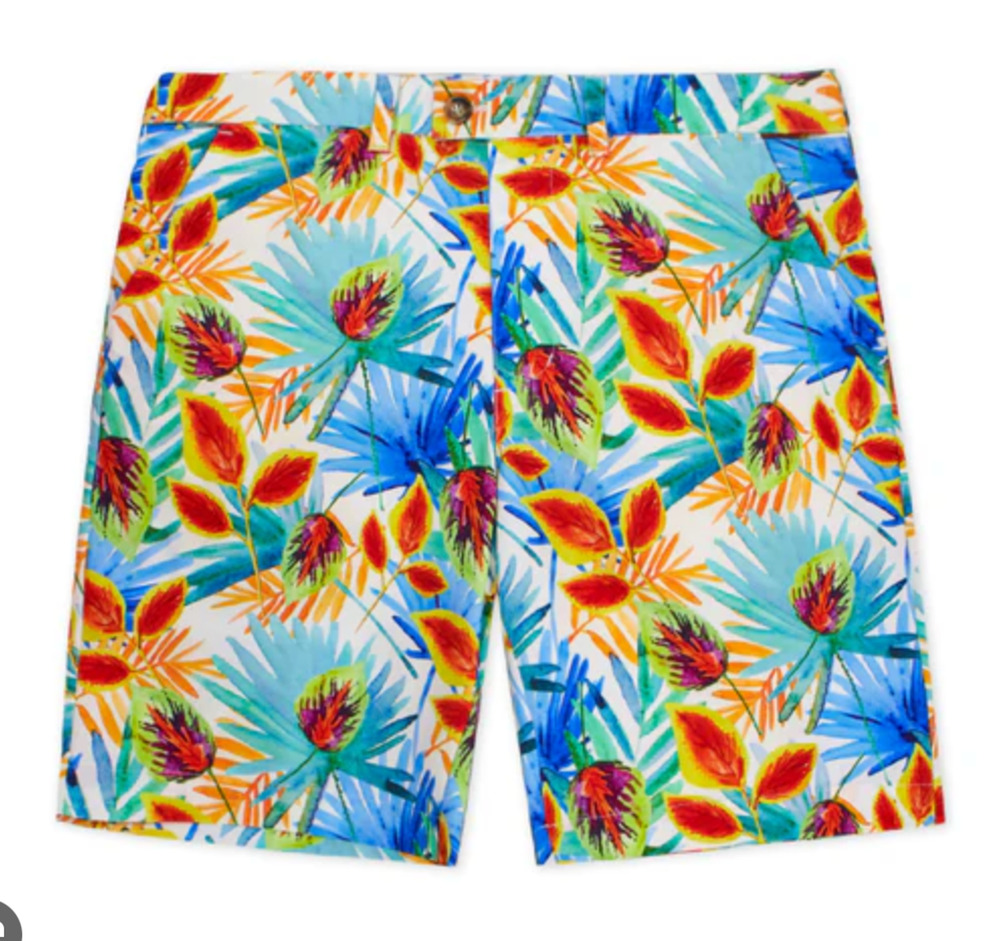 Loudmouth Golf Shorts Mens 38 Painted Palms Tropical Floral Palm Performance